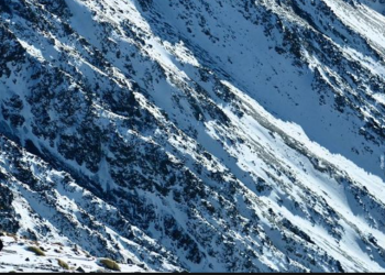 Making Friends on the Road: Strategies for Solo Travelers to Connect