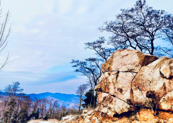 10 Essential Packing Tips for Stress-Free Travel