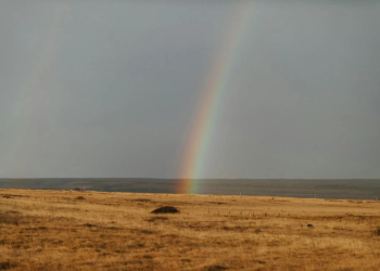 Footwear for the Journey: Finding the Perfect Travel Shoes