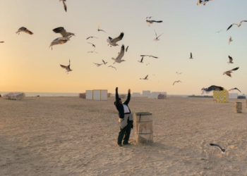 Sleeping Comfortably Away From Home: Top Picks for Travel-Friendly Pillows and Blankets