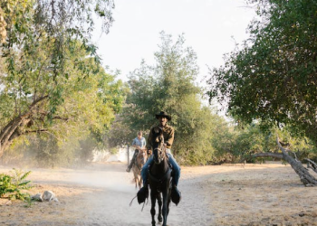 Travel Insurance for Adventure Seekers: Coverage for High-Risk Activities